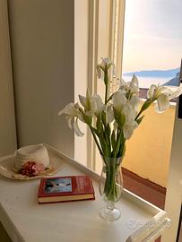 Casa Vacanze a Maratea