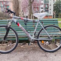 bicicletta  Mountain 26 pollici ammortizzata 