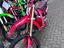 Immagine 14