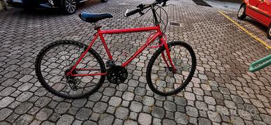 Bici uomo