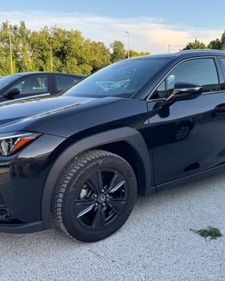 Lexus UX 250H 2.0 Hybrid 145Cv Design 2WD