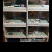 terrario a sei teche 