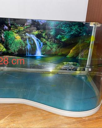 Acquario Tartarughiera