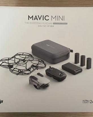 DJI Mavic Mini