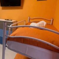 Due letti singoli trasformabili a castello