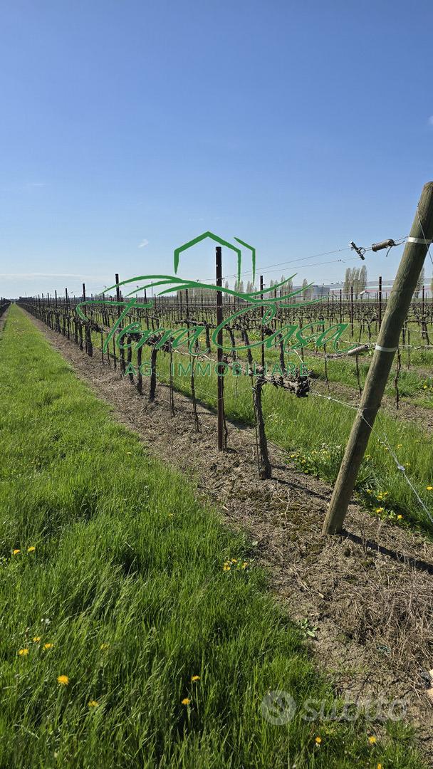 Terreno Agricolo a San Donà di Piave - Opportunit - Vista 4