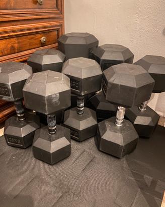 Manubri gommati palestra