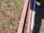 Immagine 3