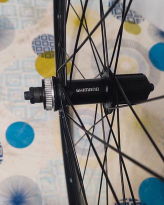 cerchio per bici