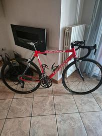 Wilier Lavaredo