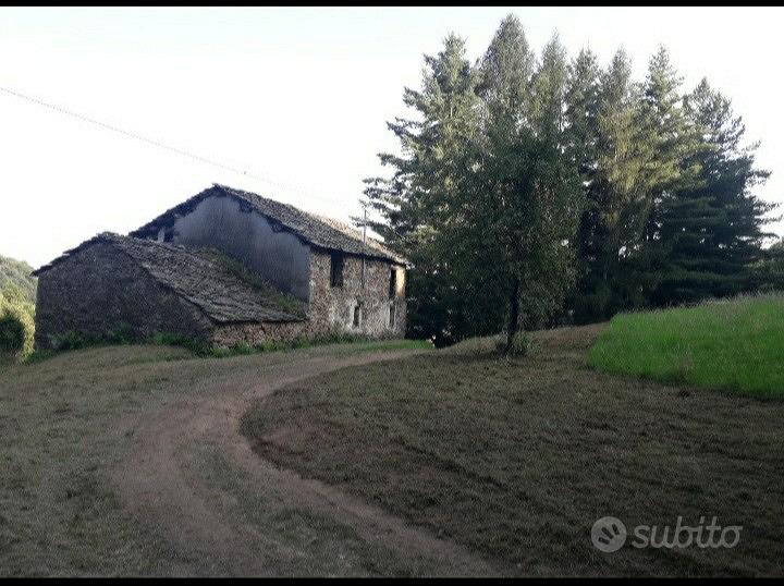 rustico con terreno - Vista 4