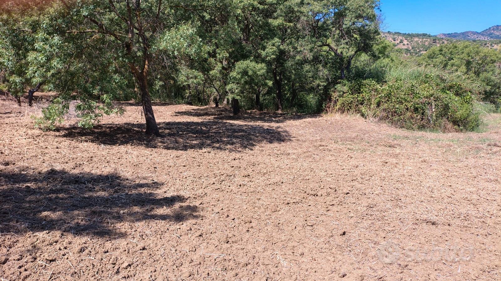 Terreno agricolo - Vista 3