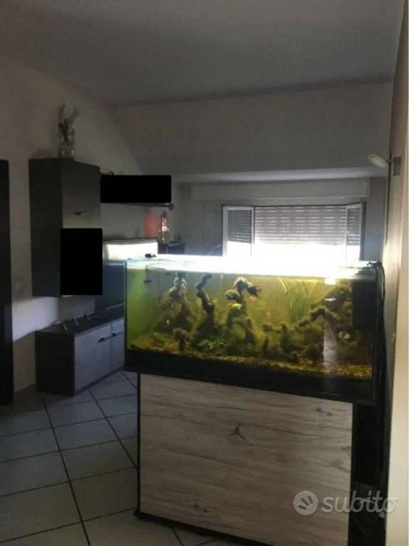 Appartamento – Bregnano, San Michele, Menegardo - Vista 4