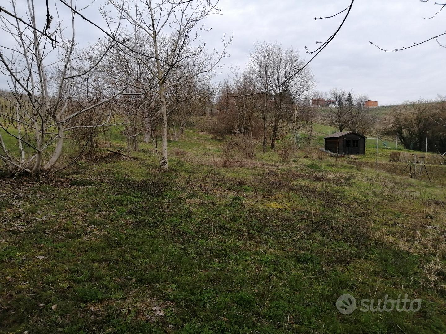 Terreno Oltrepo' Pavese - Altro