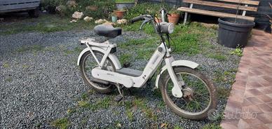 ciao piaggio px