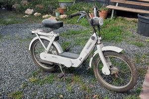 ciao piaggio px