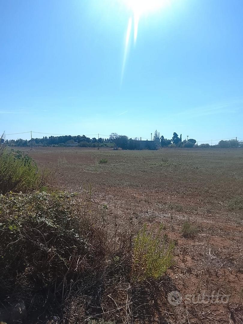 Terreno agricolo 200metri dal paese di Uggiano Mon - Vista 3