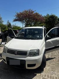 Panda a metano