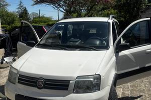 Panda a metano