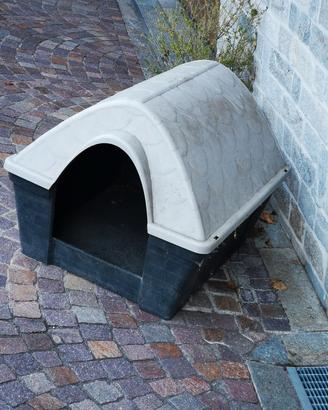cuccia  esterno per cane  