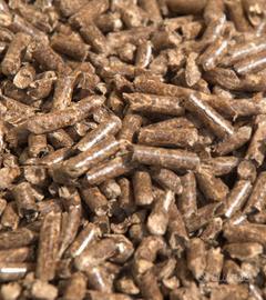 Pellet italiano
