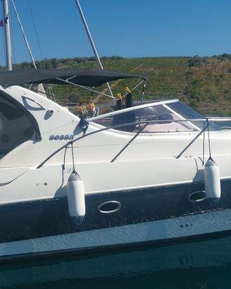 Sessa 35