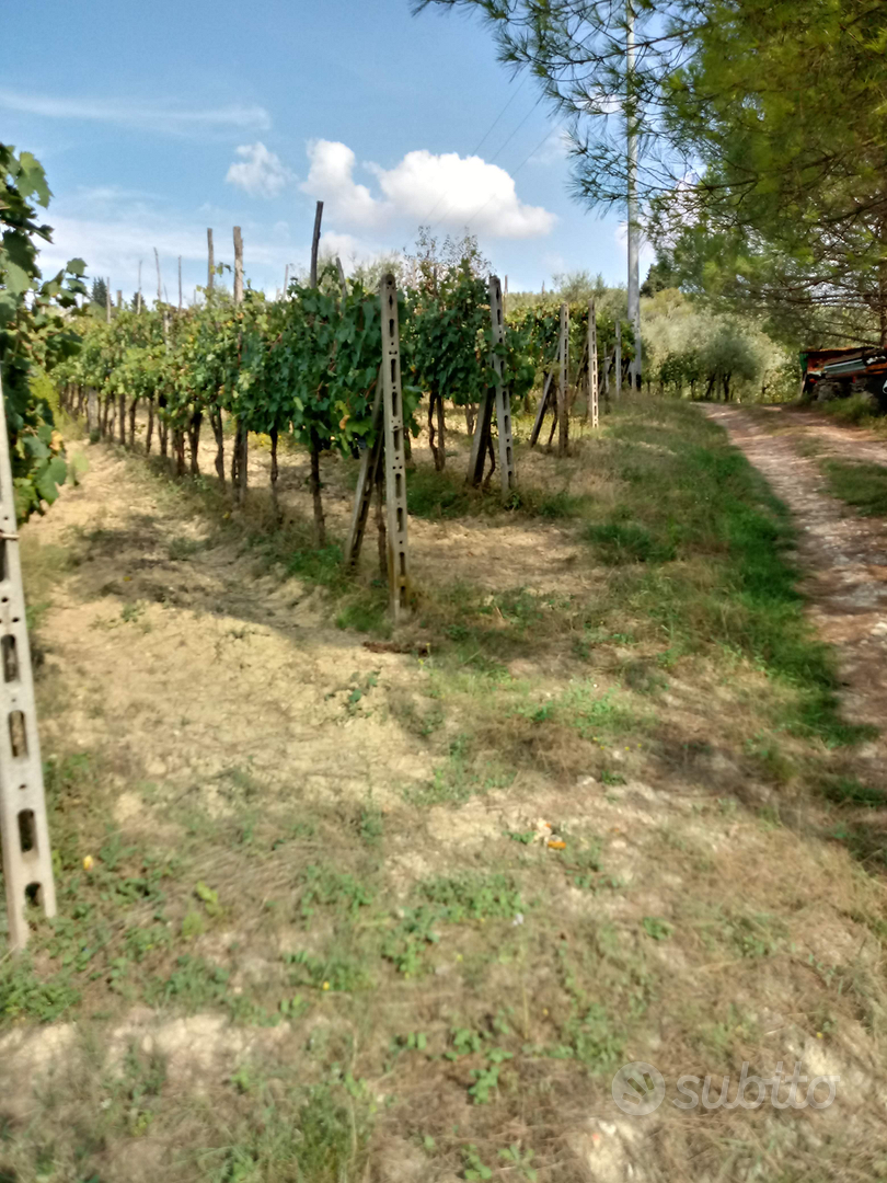 Terreno agricolo acqua e luce - Vista 2