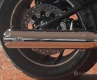 Scarico softail