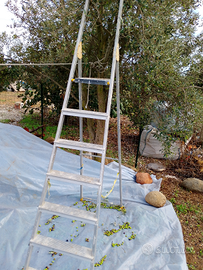 Agrotecnico ,Giardiniere privato