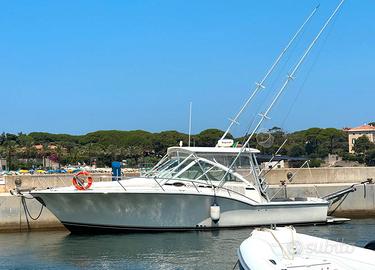 Fisherman Carolina Classic 32