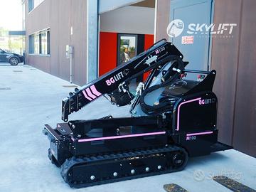 Mini gru cingolata BG Lift M 100