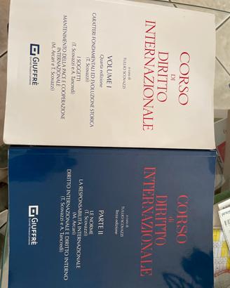 Corso diritto internazionale