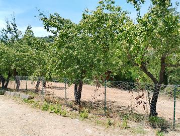 Terreno agricolo