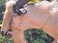 Immagine 3