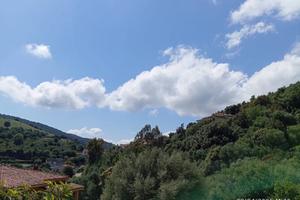 Terreno edificabile immerso nella natura