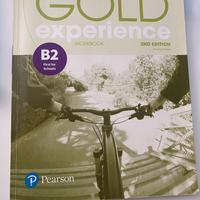 Gold Experience Workbook