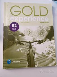 Gold Experience Workbook