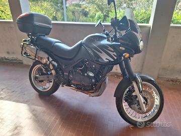 Triumph tiger T709 perfette condizioni+accessori