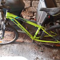 Bicicletta bambino 24