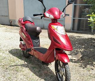 Altro Altro modello - 2016