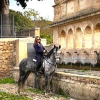 Cavalla Spagnola domata