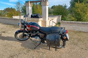 Moto Triumph Bonneville T100