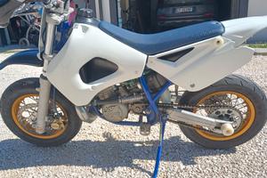 Minimotard polini
