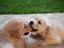 Immagine 3