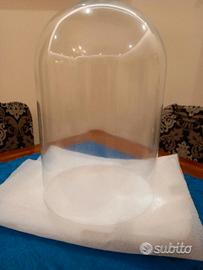 Campana  di vetro 60 h x 40 cm