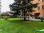 Immagine 28