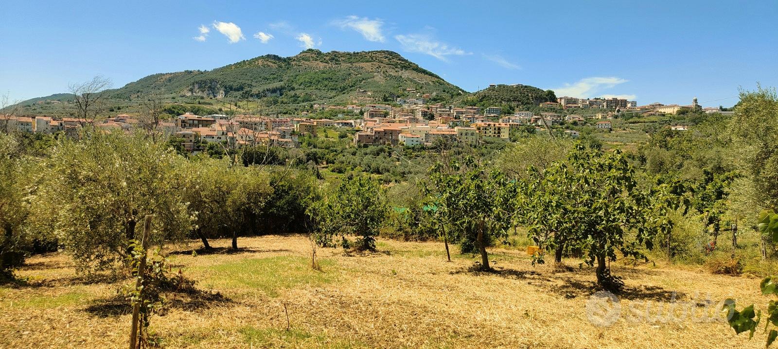 Terreno frutteto Salerno - Vista 2