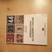 Introduzione all algebra lineare 