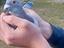 Immagine 1