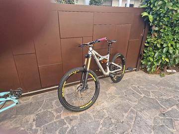SPECIALIZED